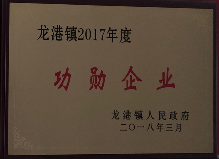 2017功勛企業(yè)-龍港鎮(zhèn).jpg